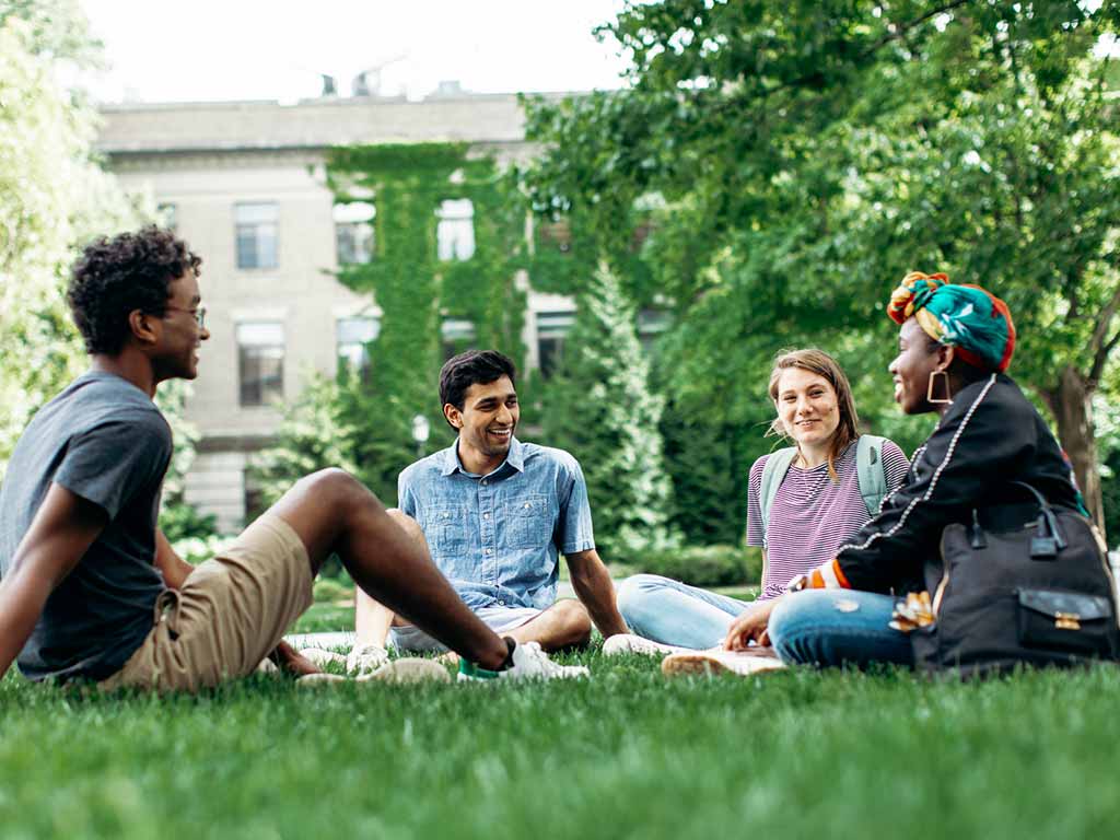 Four students sit under a tree chatting.